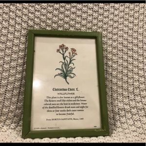 Green framed wallflower wall hanging picture